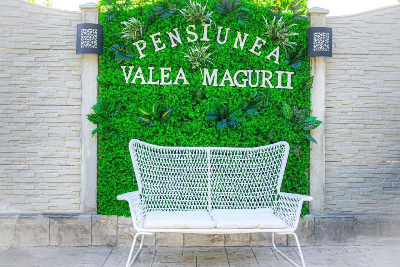 Pensiunea Valea Magurii Novaci-Străini Exterior foto