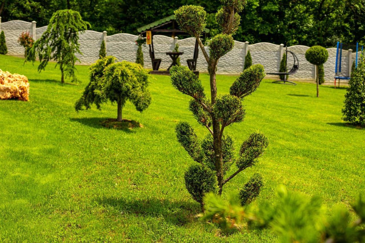 Pensiunea Valea Magurii Novaci-Străini Exterior foto